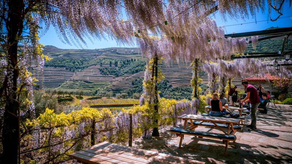 picnic tables with arbour with view to vineyard in one of the most instagrammable places in Portugal