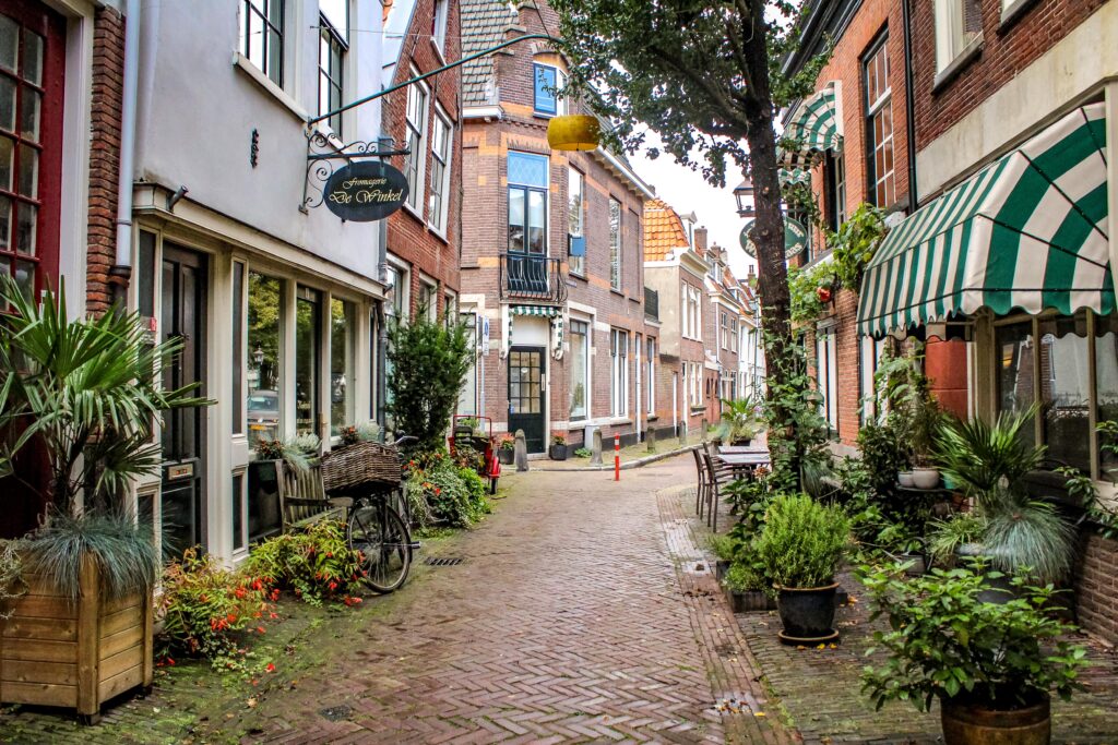 cobbled laneway in haarlem netherlands with plants, shops on a day trip to haarlem from amsterdam