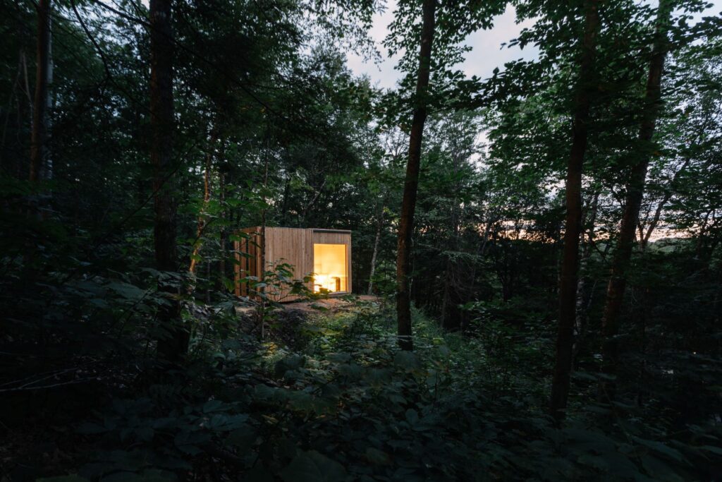 sauna in middle of woods at hinterhouse