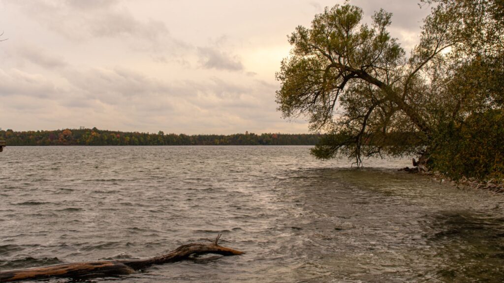 lake in Prince Edward County