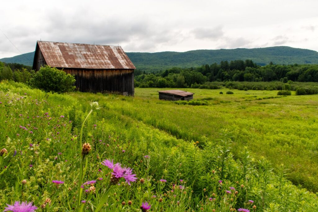 rural landscape with barn in Coaticook River Valley in Eastern Townships, Quebec