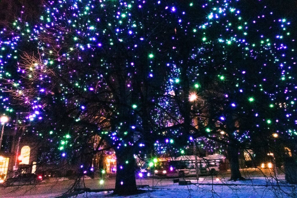 christmas lights in trees in ottawa winter