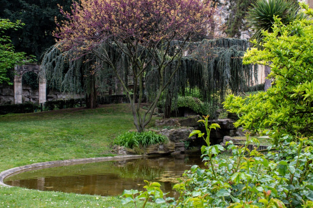 pond, trees in hidden gardens in paris
