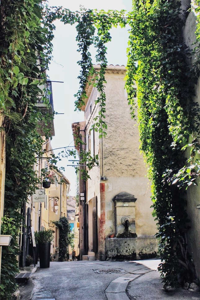stone buildings with vines in Luberon Village in Provence