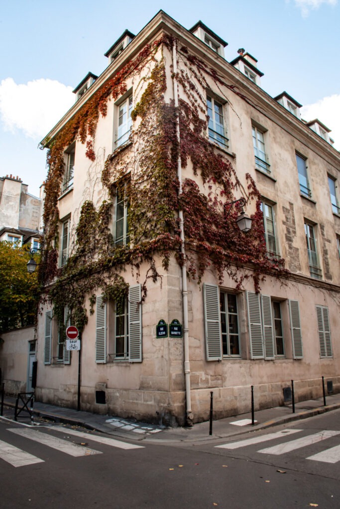 building with ivy in Le Marais Paris