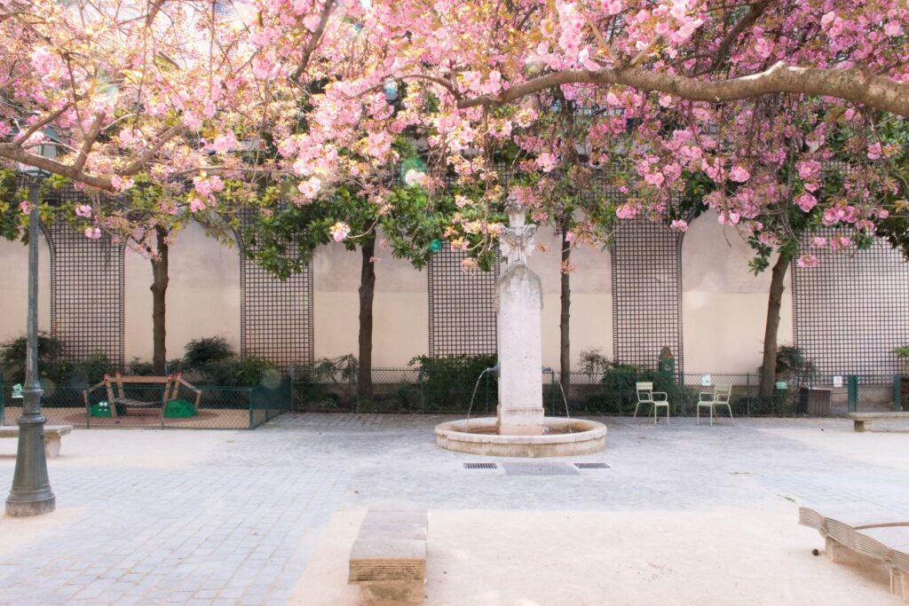 pink blossoms, fountain hidden gardens in paris