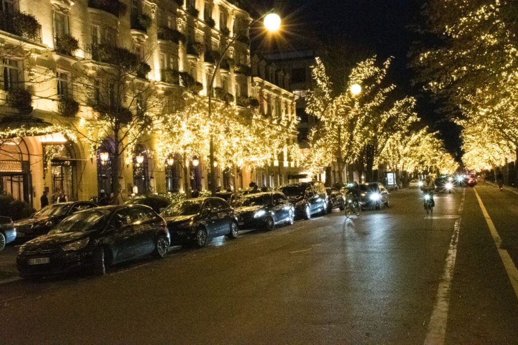 white twinkle lights in trees on paris street