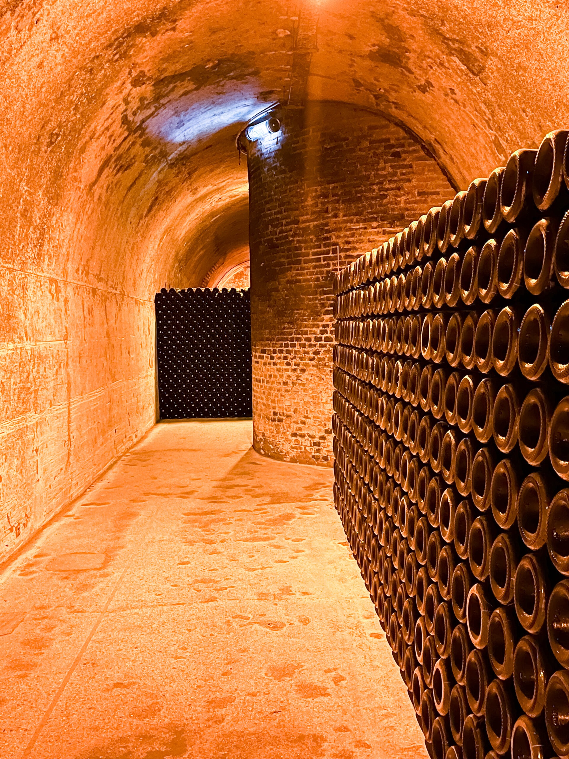 champagne bottles in cave in Reims