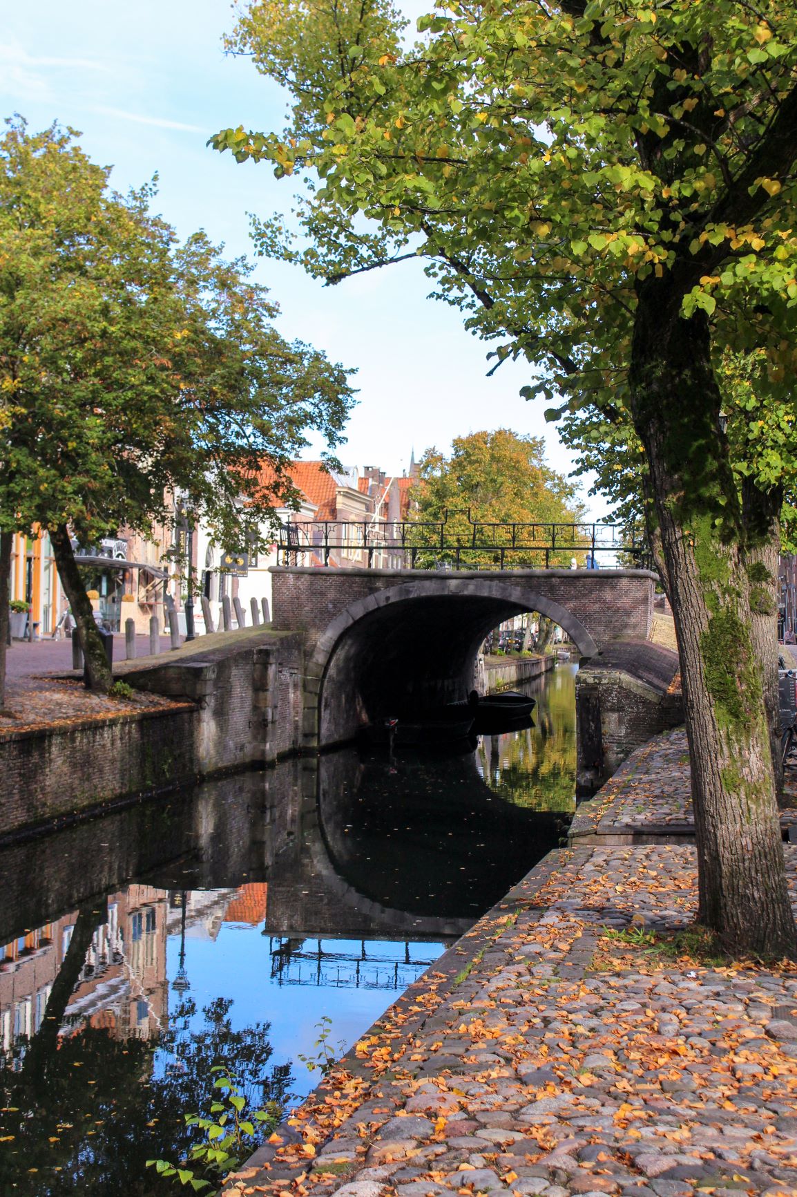 canal with trees