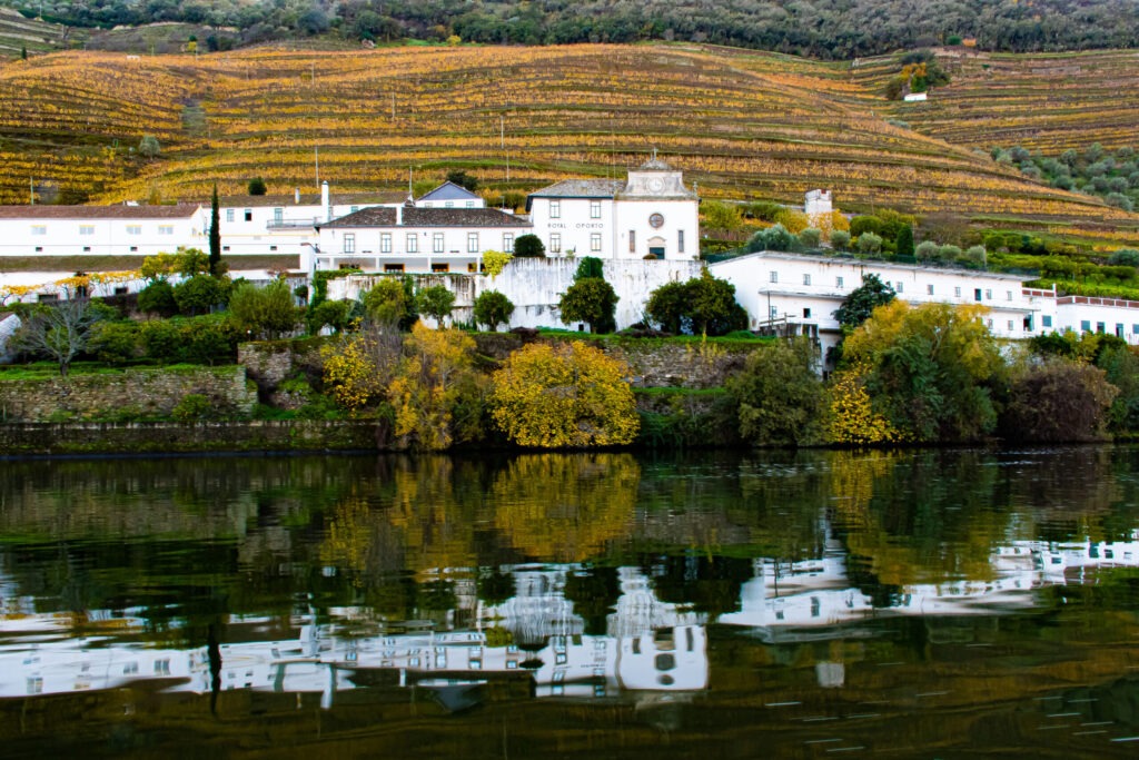 douro river with white winery reflecting on water on guided tour in douro valley