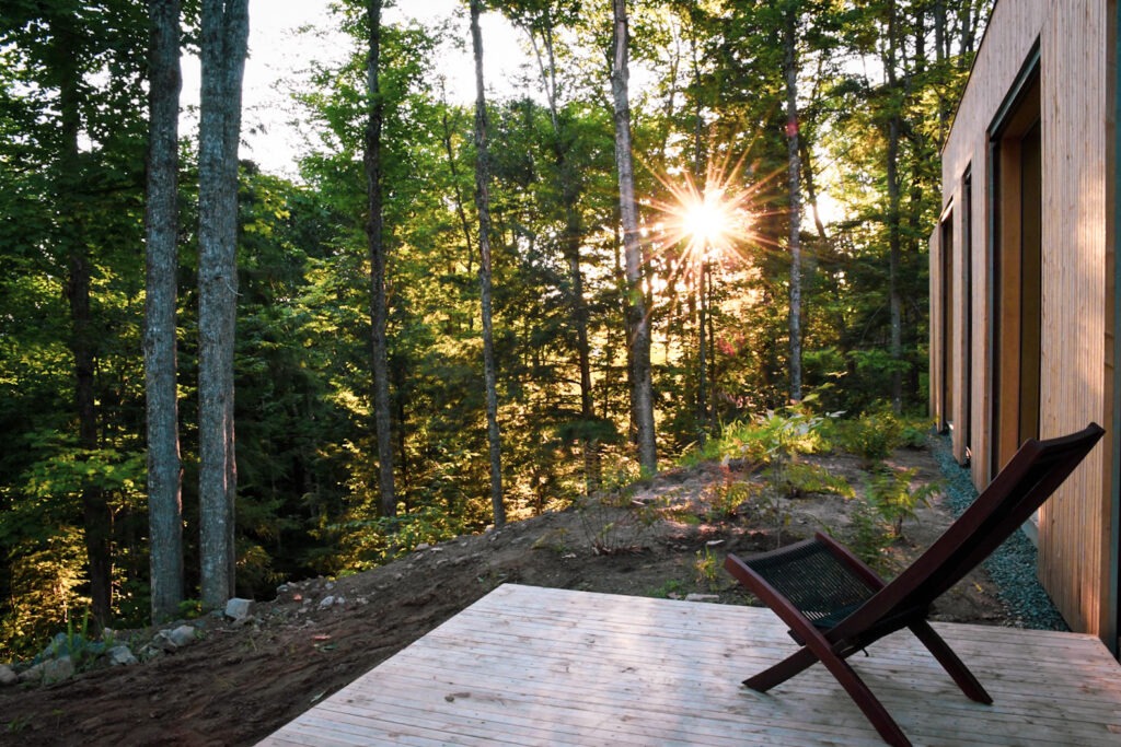 chair with sunburst through the trees at hinterhouse