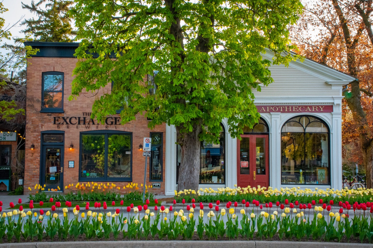 15 Best Things To Do In Niagara On The Lake By A Local Dream Plan