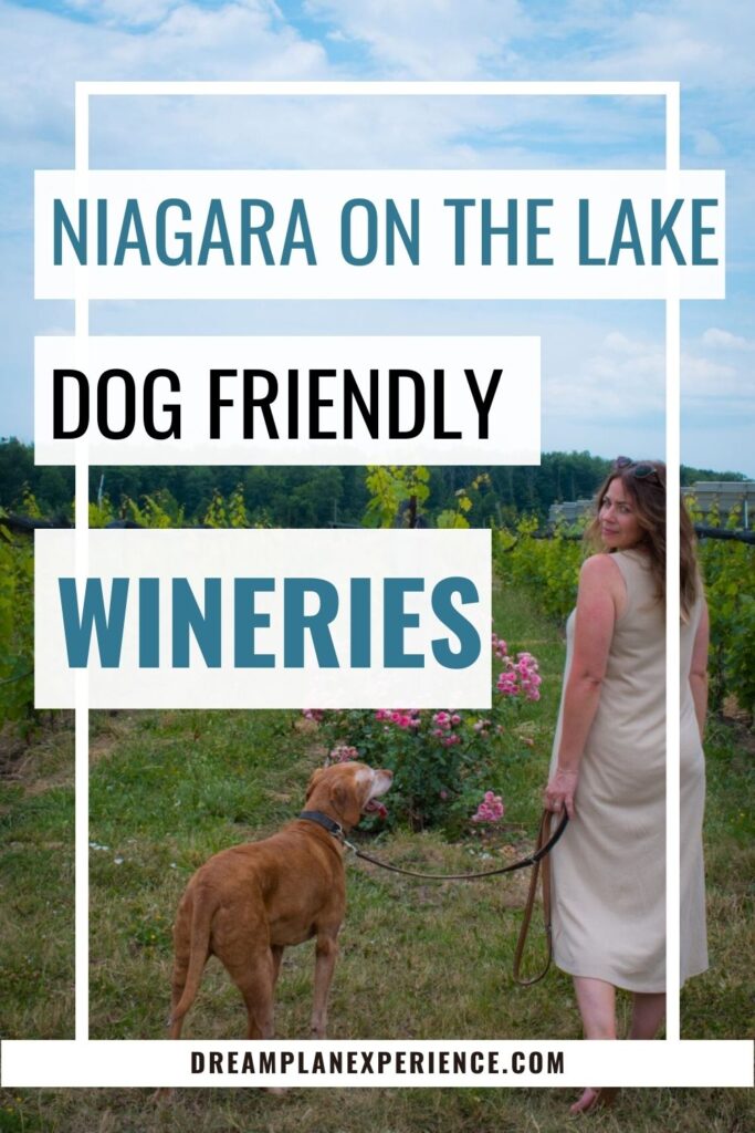 girl and dog at niagara-on-the-lake Wineries