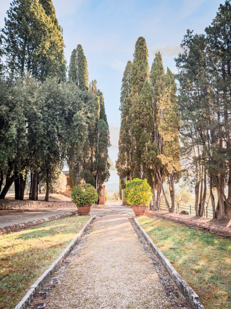 gravel pathway from a cortona holiday rental to tall cypress trees