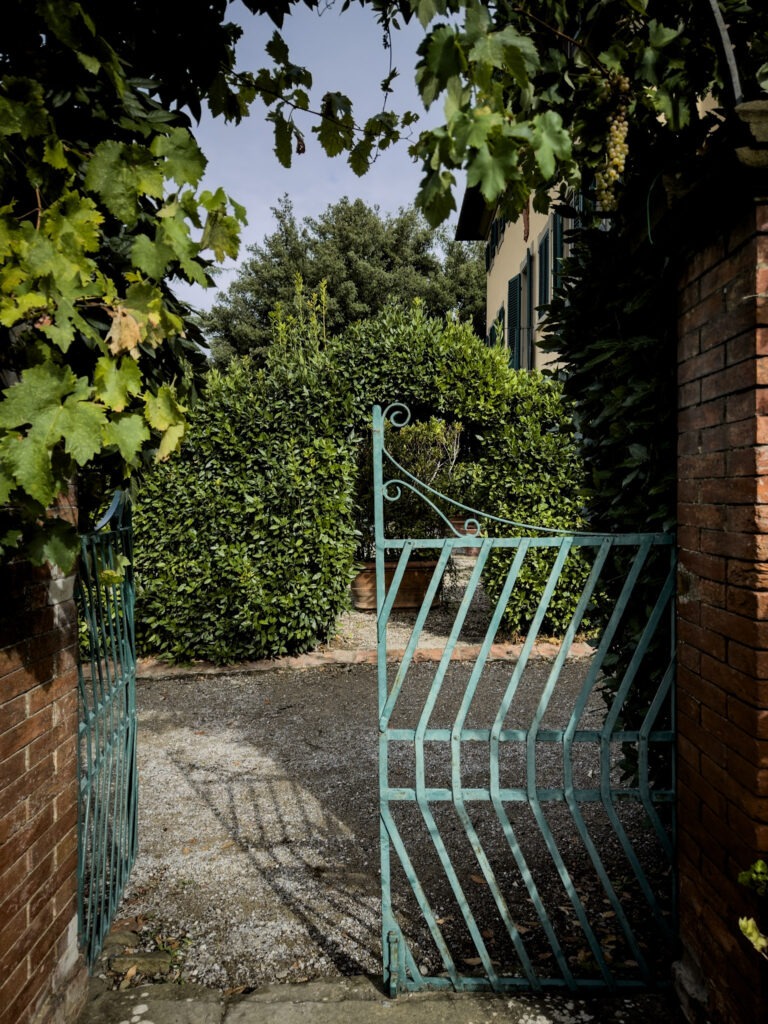 iron gate leading to a holiday rental in cortona with greenery