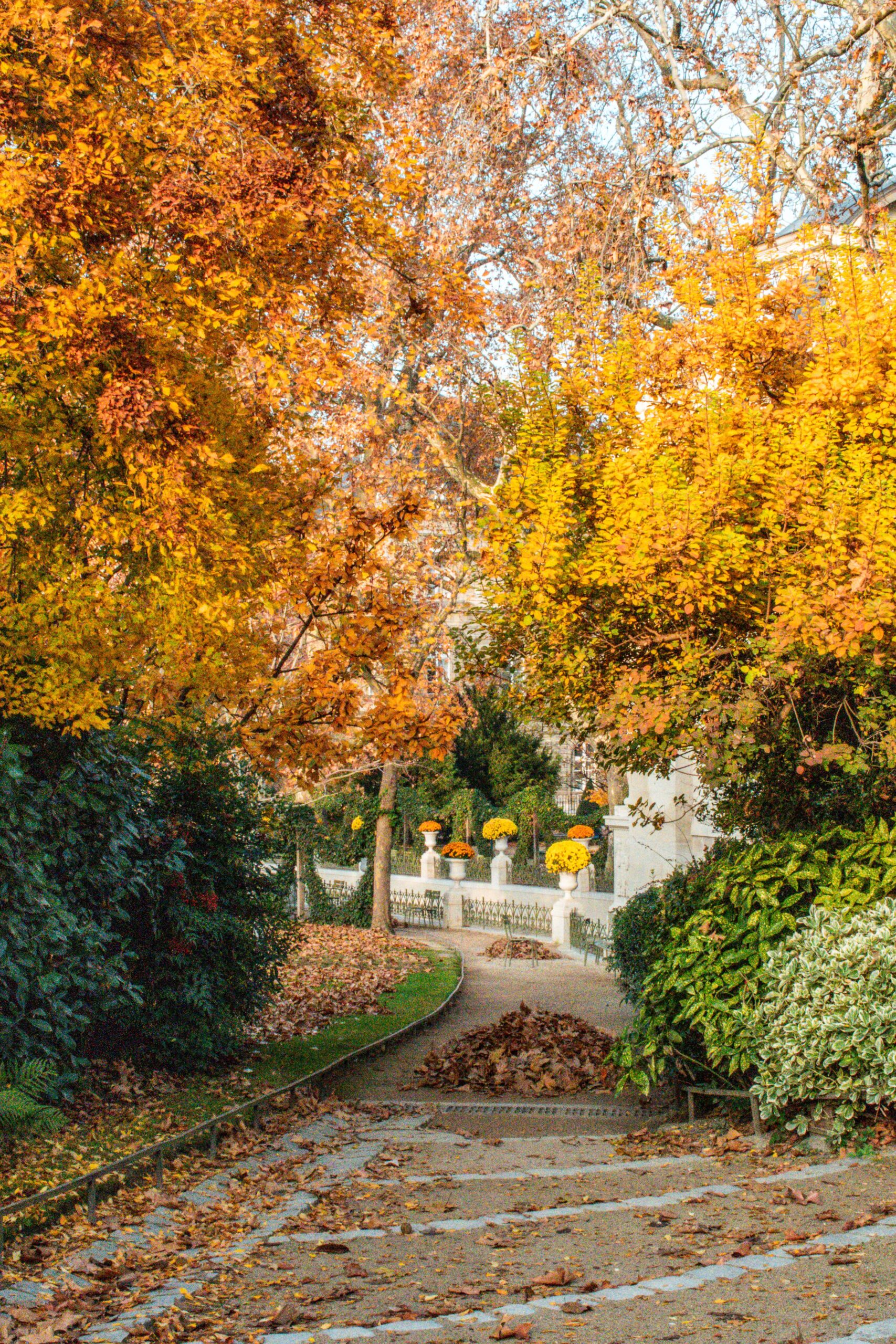 View of Autumn In France: Best Places To Visit In Fall