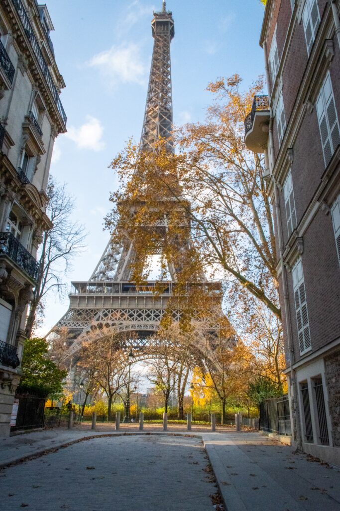 eiffel tower with fall foliage in paris in fall