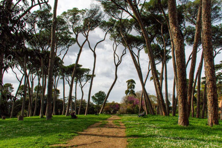 20 Lesser-Known and Famous Gardens in Rome