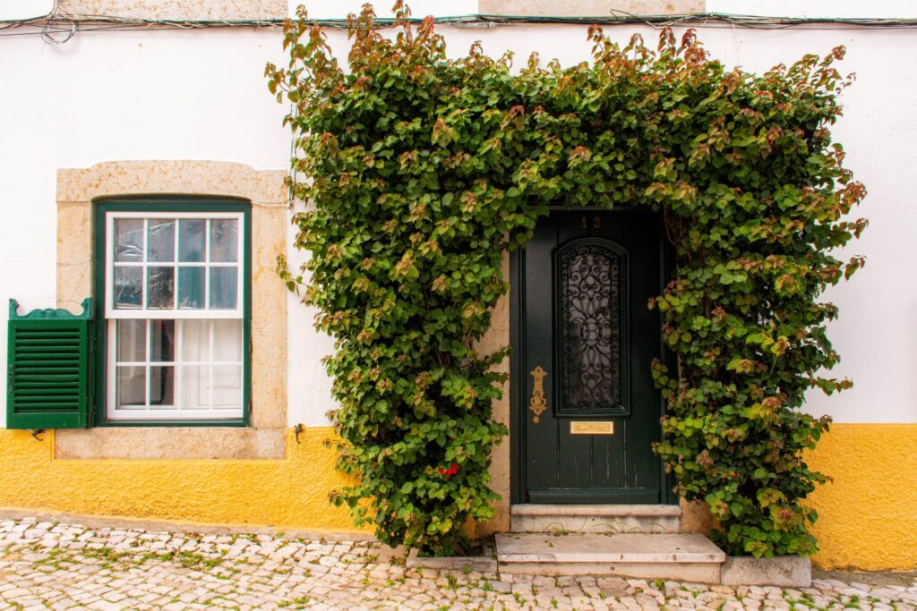 green door with ivy in cascais