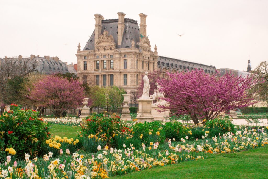 spring flowers with building in gardens in paris for a weekend
