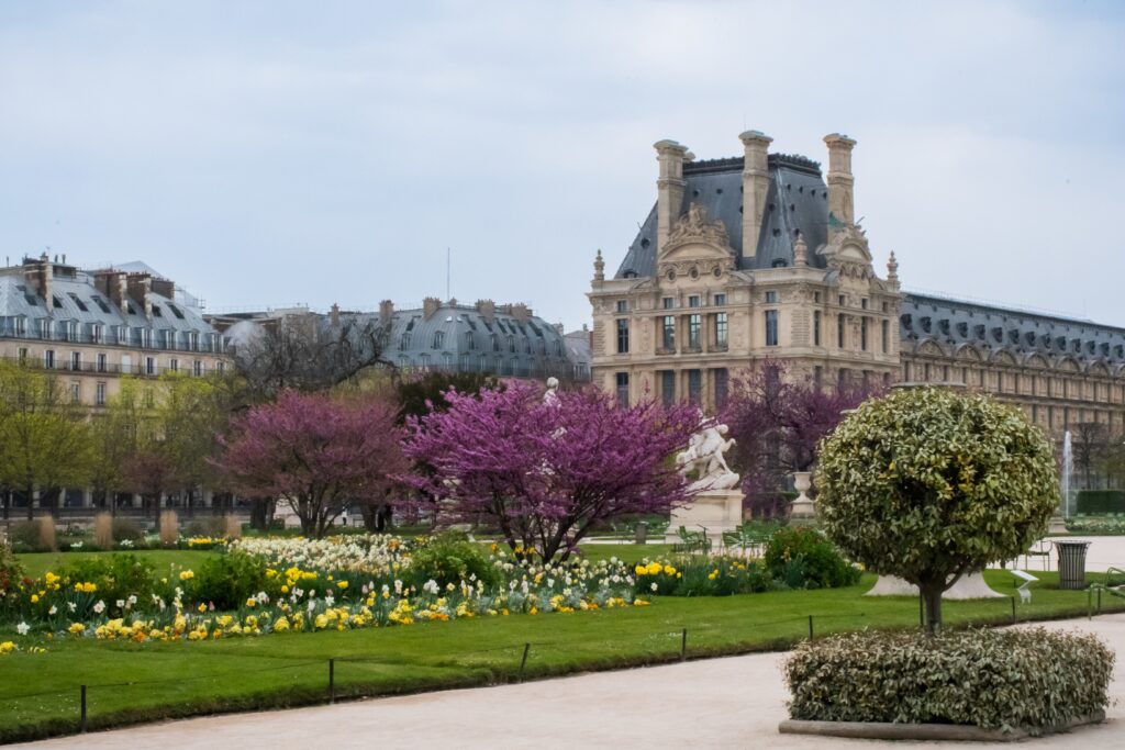 park with flowers, trees, buildings in paris