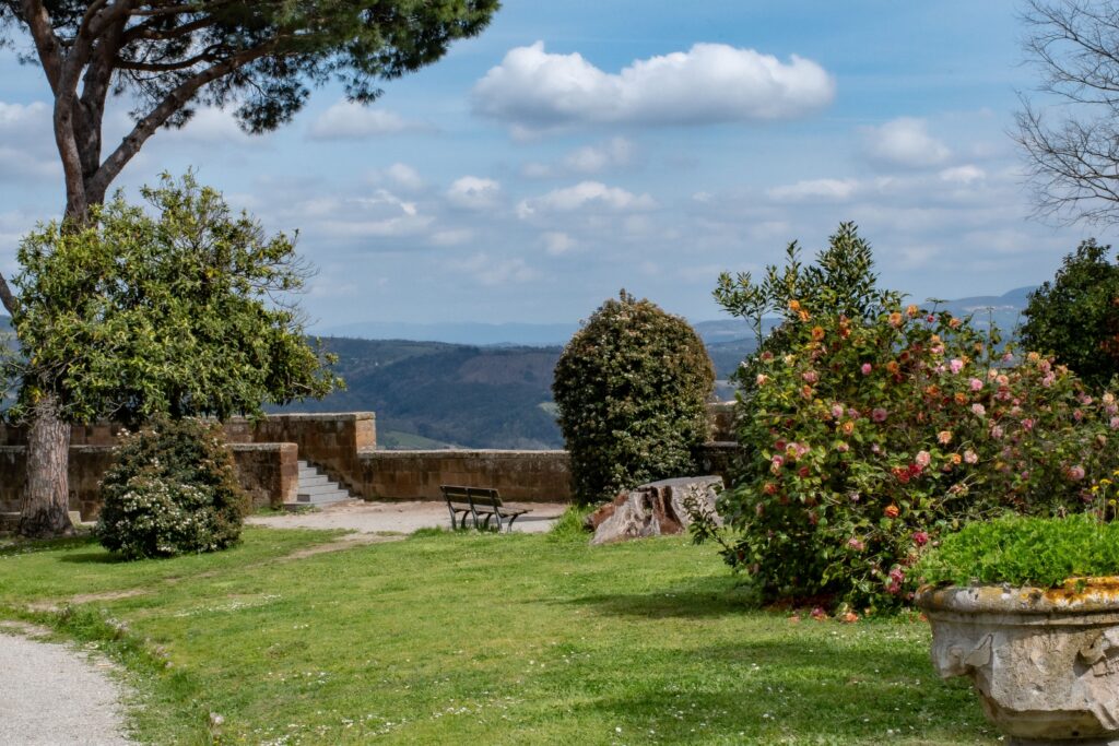 garden with roses and ancient wall in orvieto italy