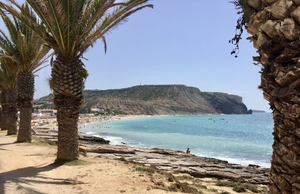 palm trees, beach and sea in one of the beautiful villages in portugal