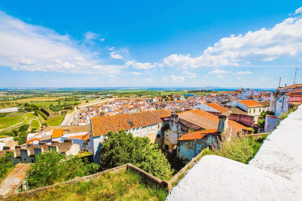 village in portugal with red clay rooftops and white buildings