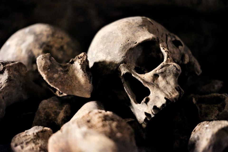 skull in darkness on paris catacombs tickets tour