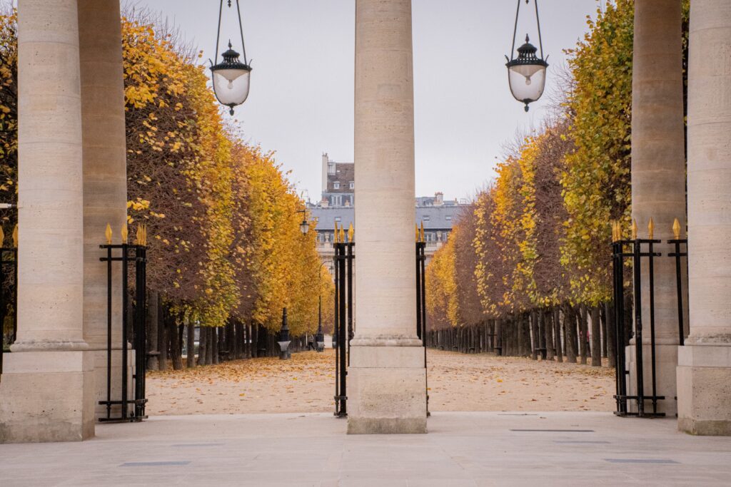 pillars with fall trees in paris plan trip