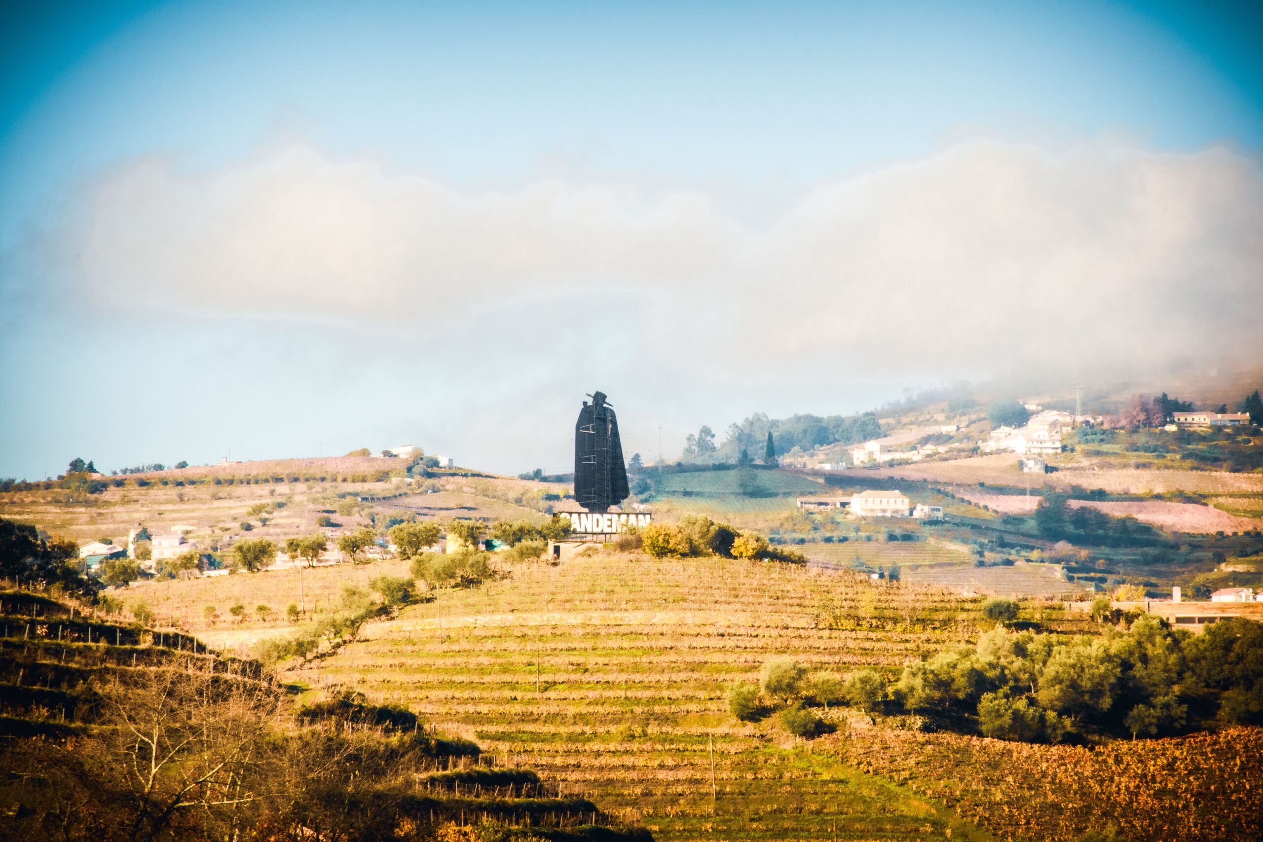 hillside of vineyards with black figure on top of winery on a wine tours in porto