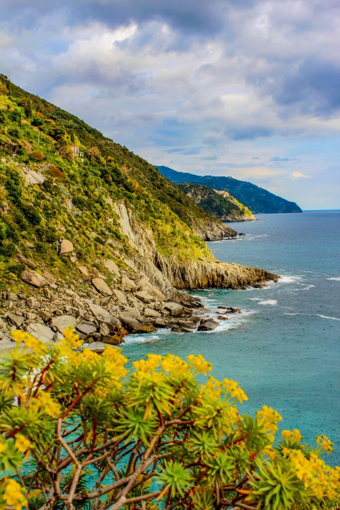 sea with cliff on cinque terre boat tours