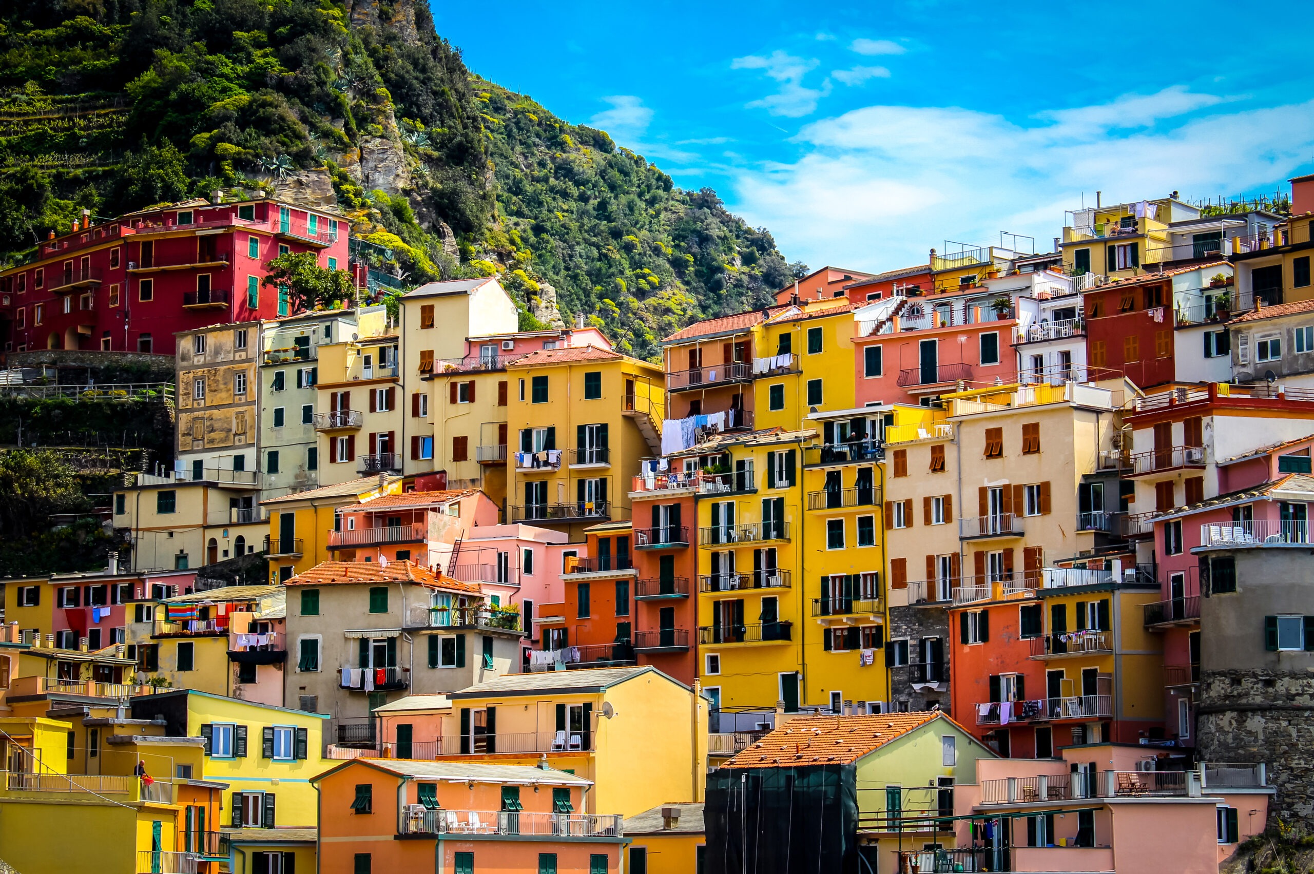 colourful houses on cliff on a cinque terre day trip from florence