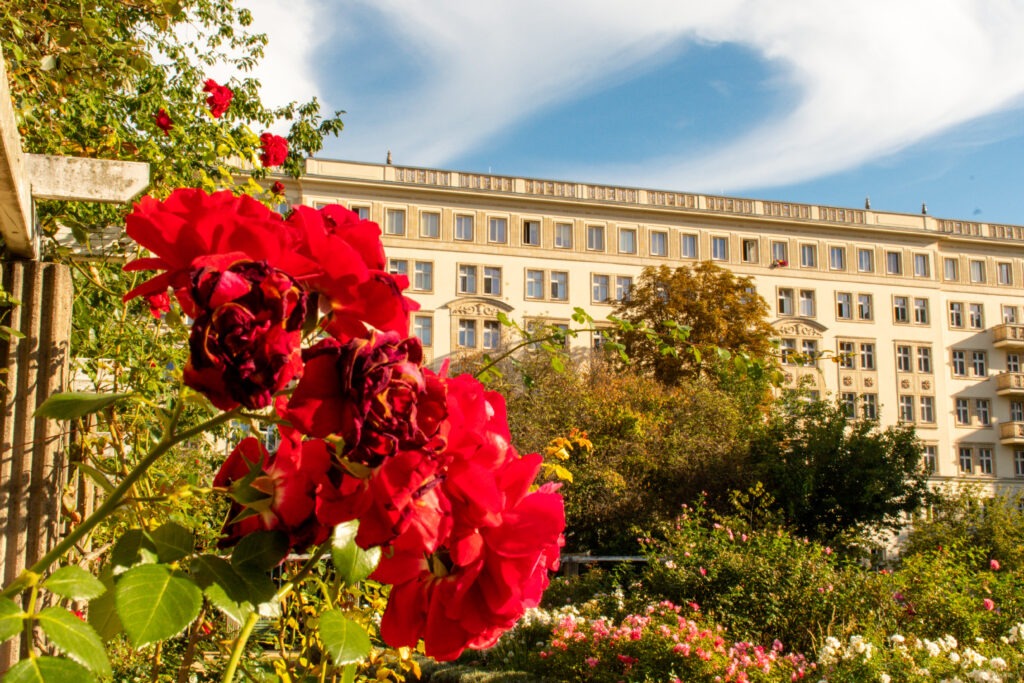 west vs east berlin architecture with red roses