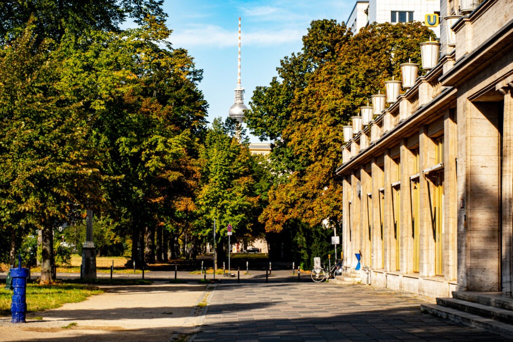 stone pillars on building and tv tower through leaves on difference between east and west berlin architecture 