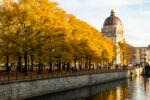 river with rows of yellow trees with berlin museum in germany autumn