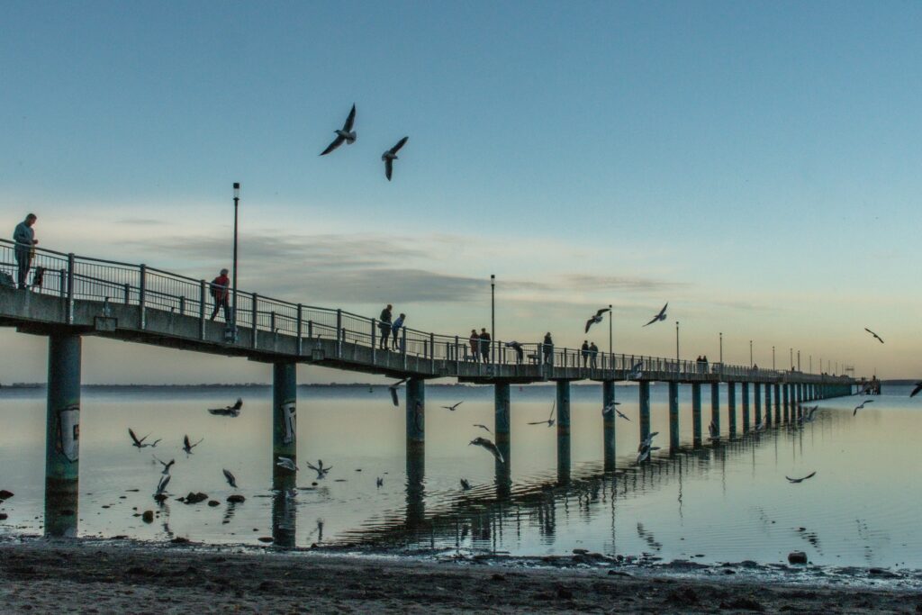 long pier with seagulls at beach as one of the things to do in wismar