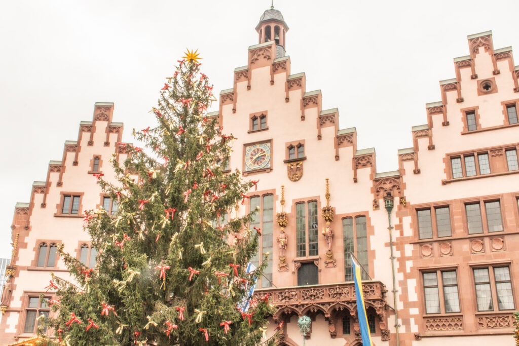 christmas tree with gabled buildings at frankfurt christmas market