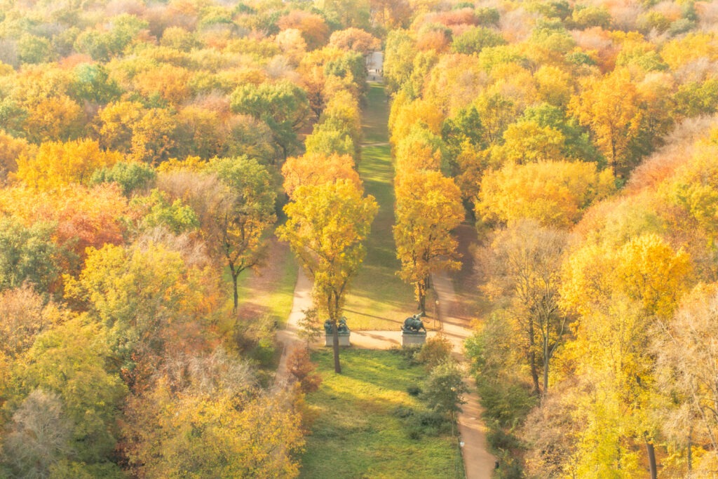 tiergarten park in berlin with overhead view of trees in autumn