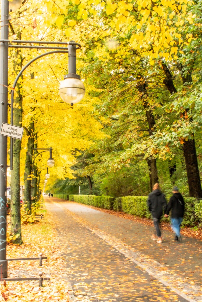 pathway with lantern in tiergarten park in berlin