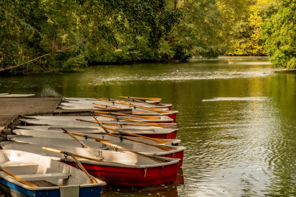 row boats lined up on lake in tiergarten park in berlin