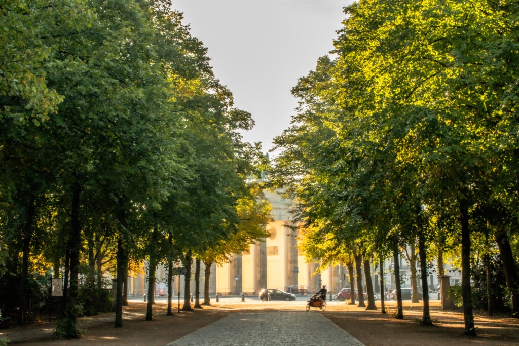 brandenburg gate with trees from berlin tiergarten park