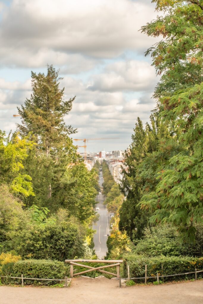 best view of berlin with road and trees