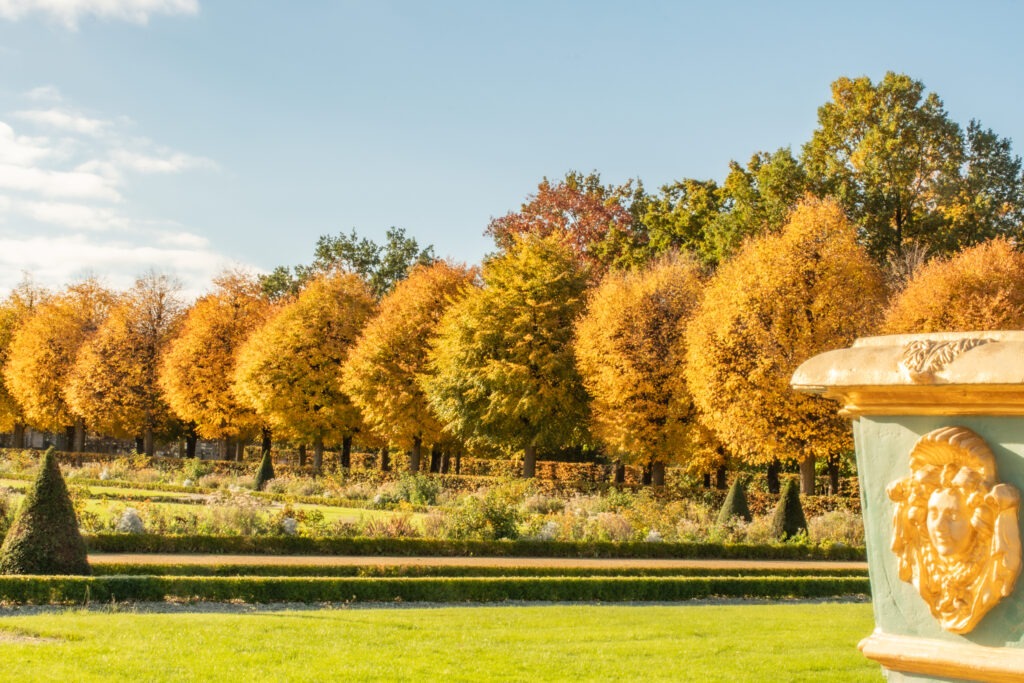 is charlottenburg palace worth visiting - it is when you visit the gardens, trees in bright yellow