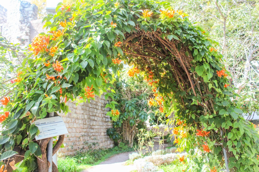archway of flowers in things to see in Tavira Portugal