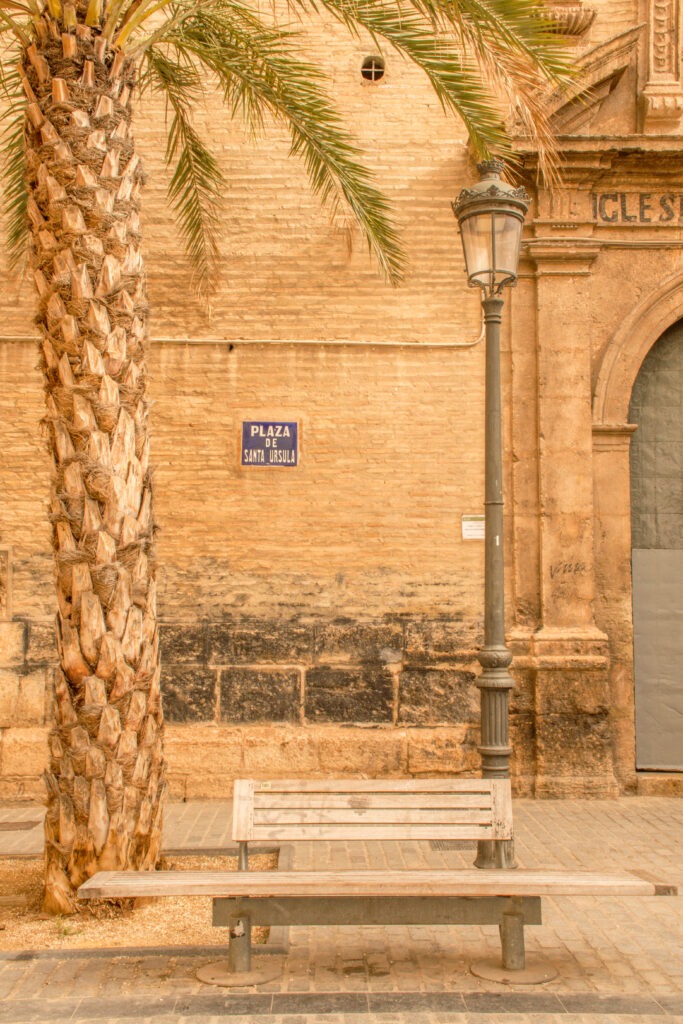 bench under palm tree on square in valencia with lamp post and church