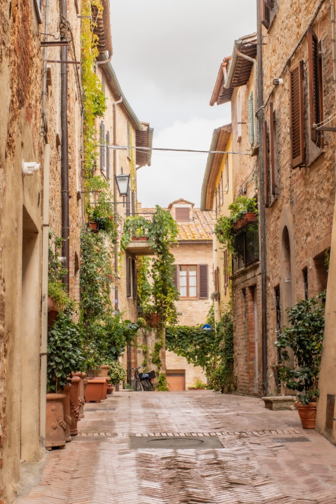 narrow street with tall buildings covered in green ivy with brown shutters in pienza tuscany