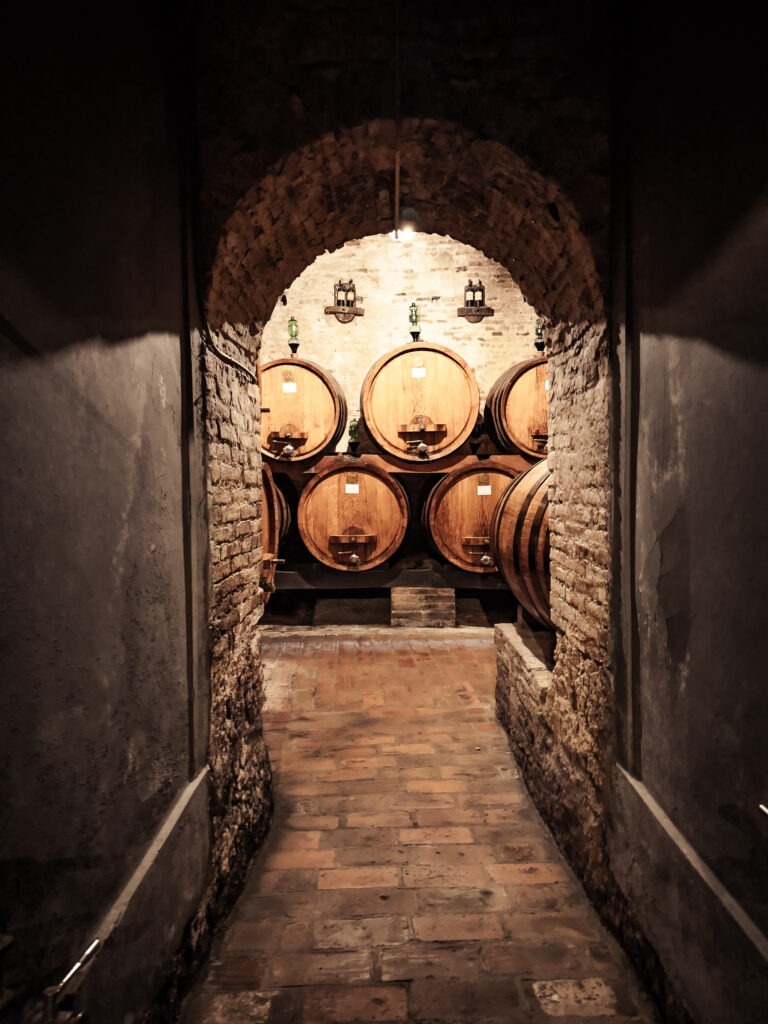 wine cellar in verona with oak barrels in dark cellar