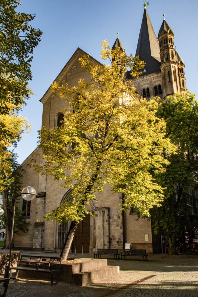 square with church and tree is one of the attractions in cologne