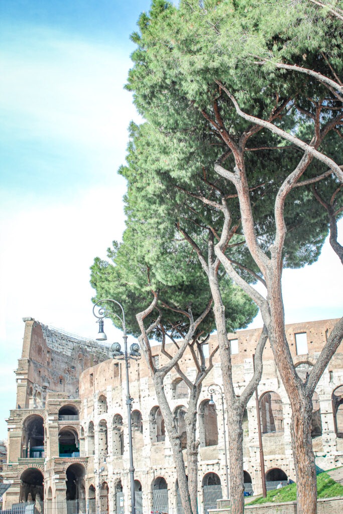 colosseum with tall pine trees while spending two days in Rome